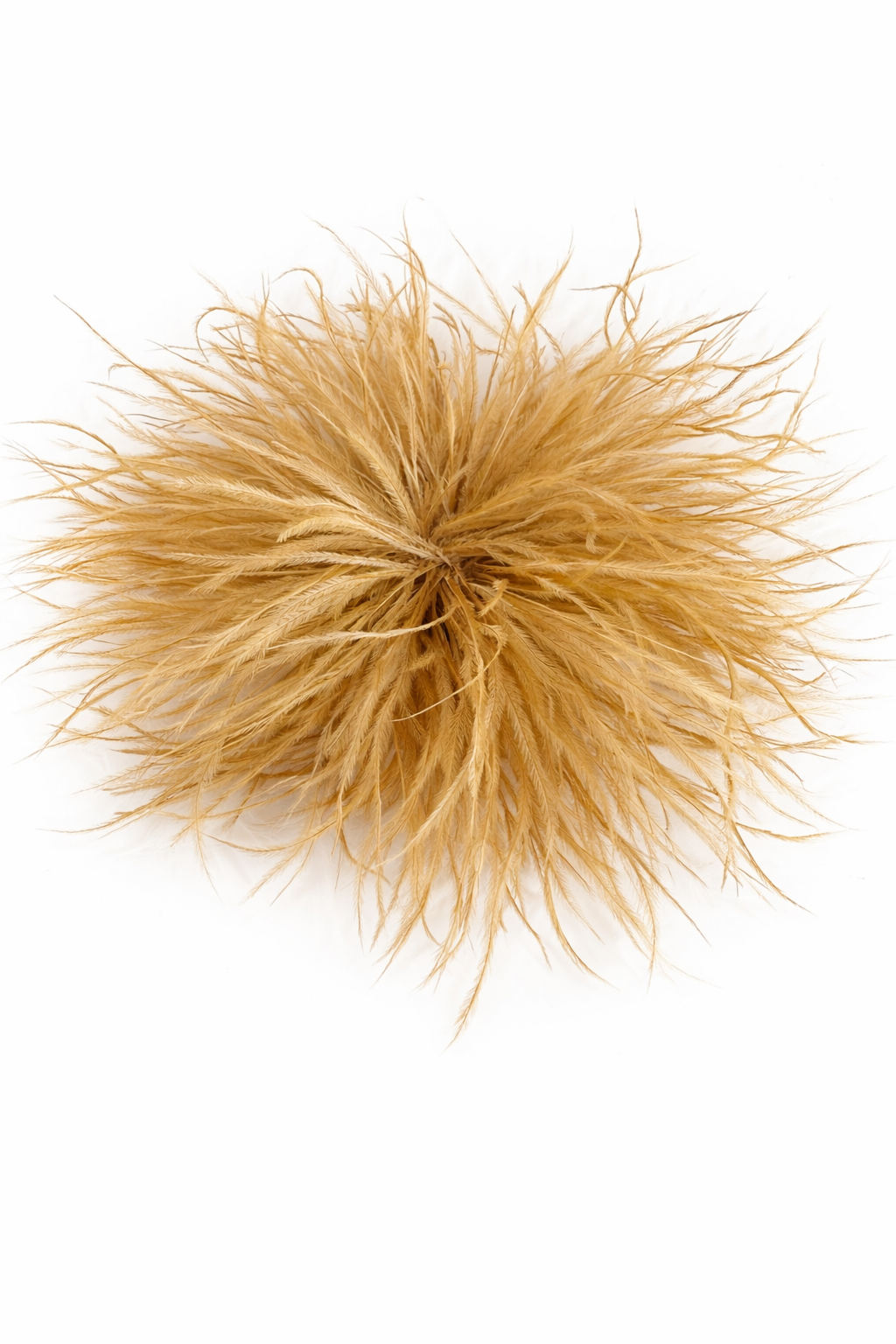 Feder-Brosche camel